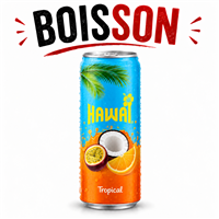 Hawai Tropical Canette